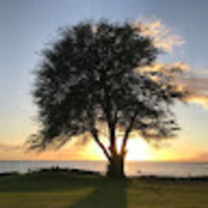 Meet your Posher, Syd